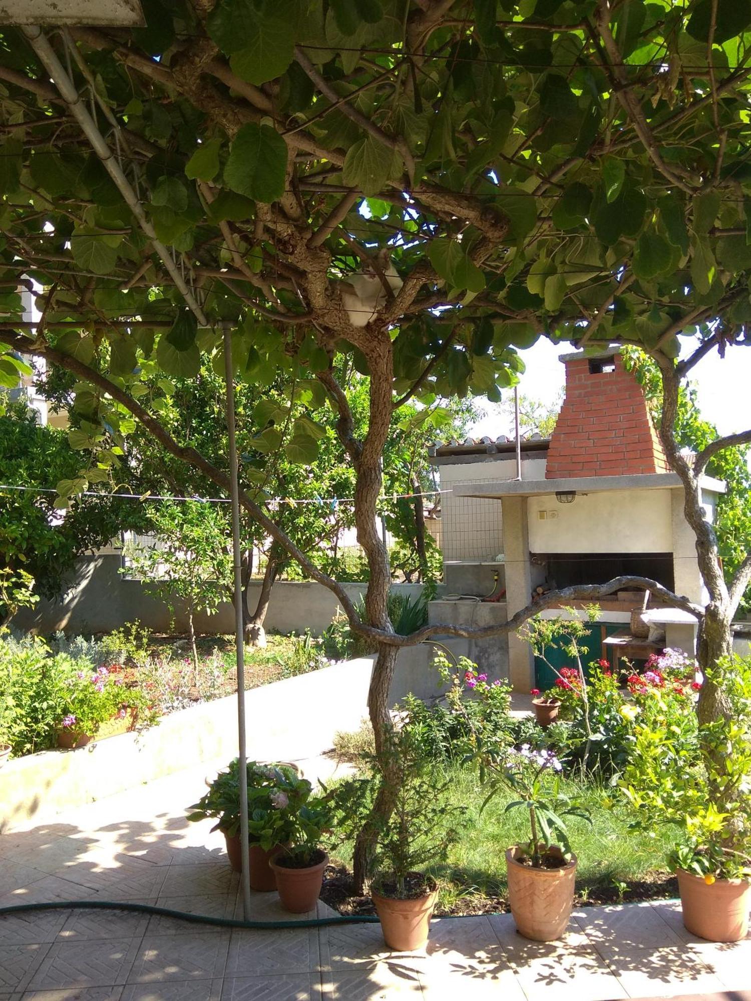 Villa Katarina Losinj Island Малий Лошинь Екстер'єр фото